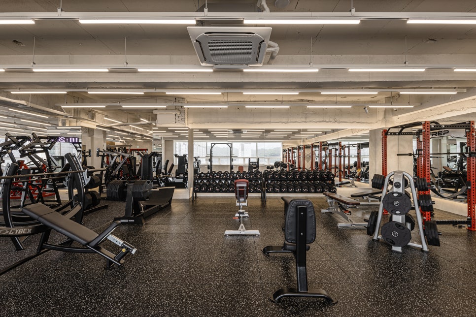 와이비GYM 이미지