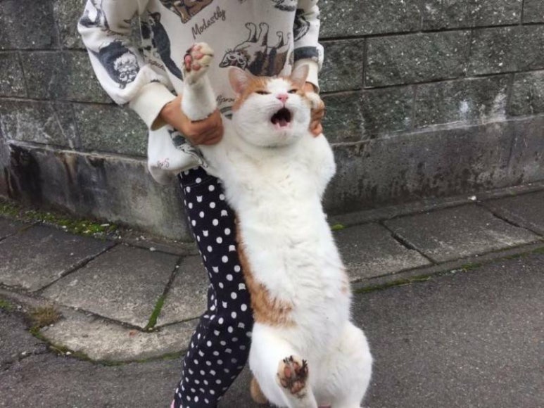 뚱땅 이미지