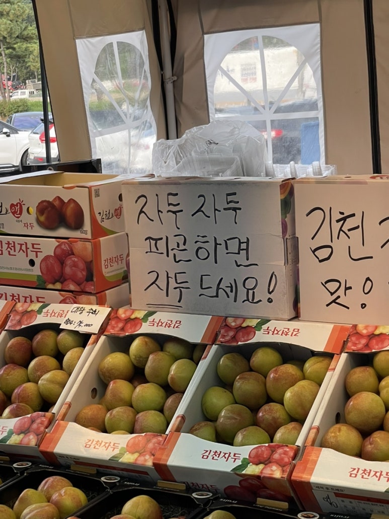 자두자두 이미지