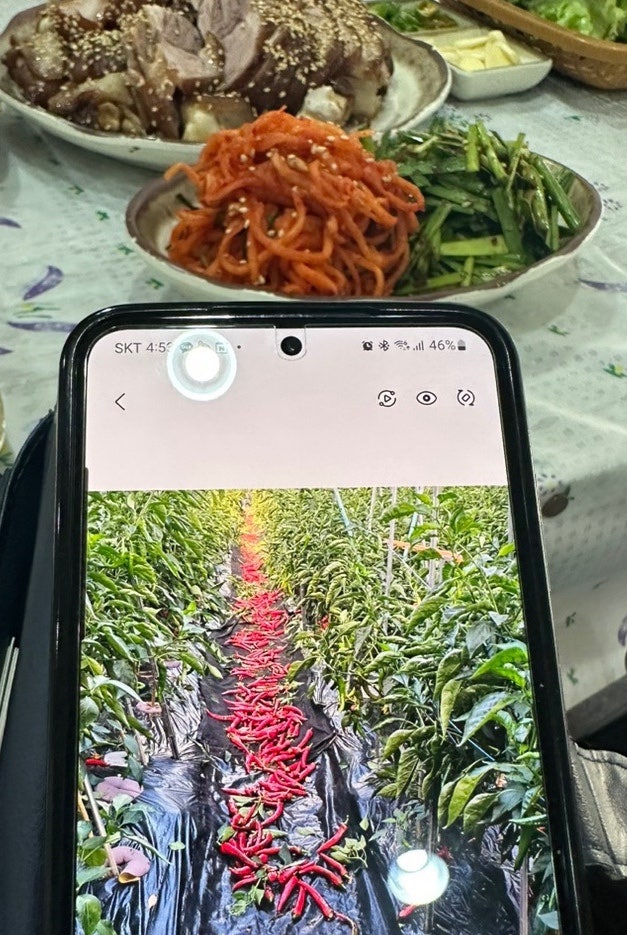 장터왕족발보쌈 이미지