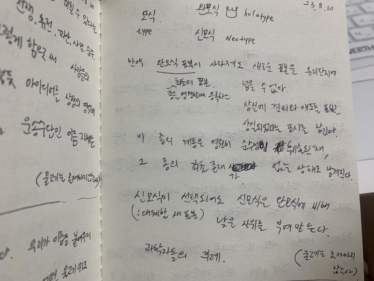에스콘디테 이미지