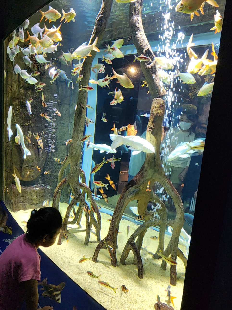 홍가네곱창 이미지