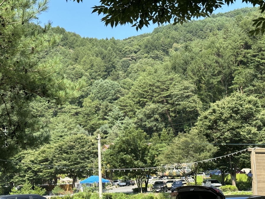 청산 캠프 이미지