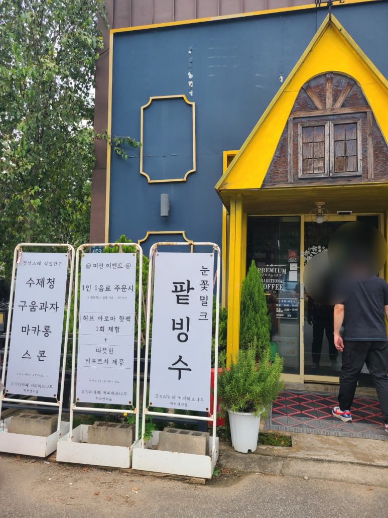 커피허브나무 이미지