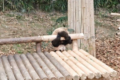 팔딱팔딱 이미지