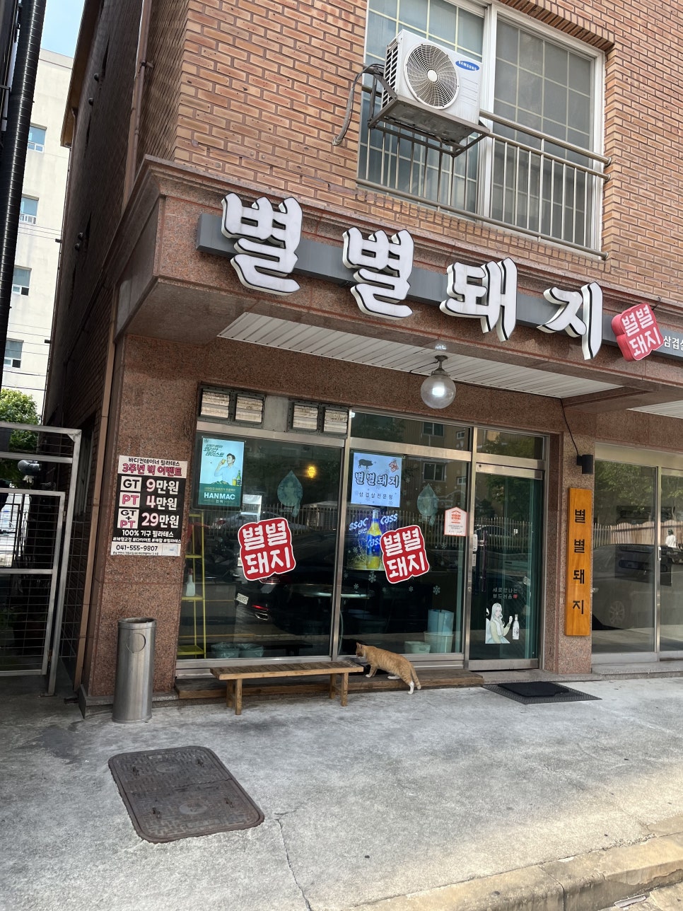 별별돼지 이미지