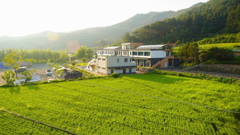 연곡1991 이미지