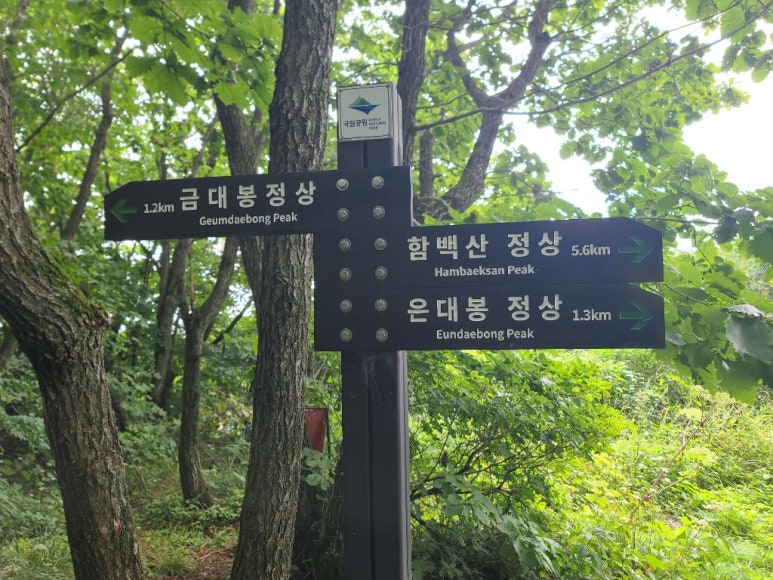 강원화원 이미지