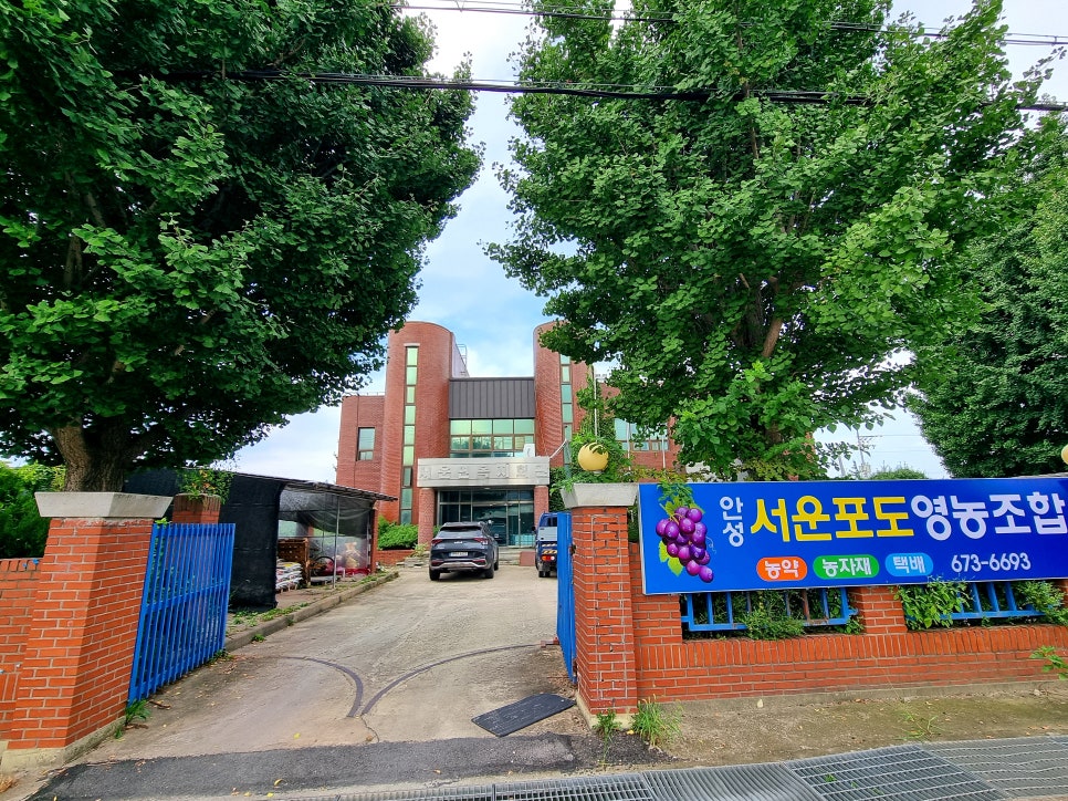 서운마트 이미지