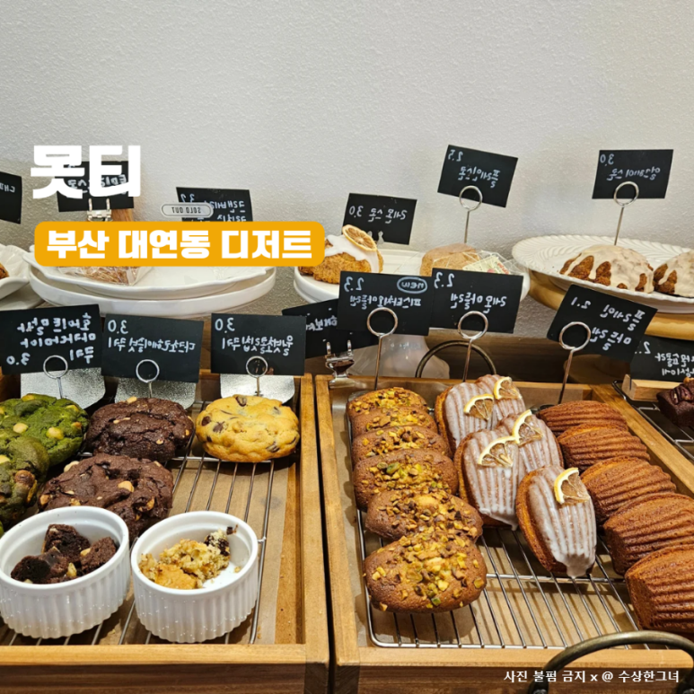 못티 이미지
