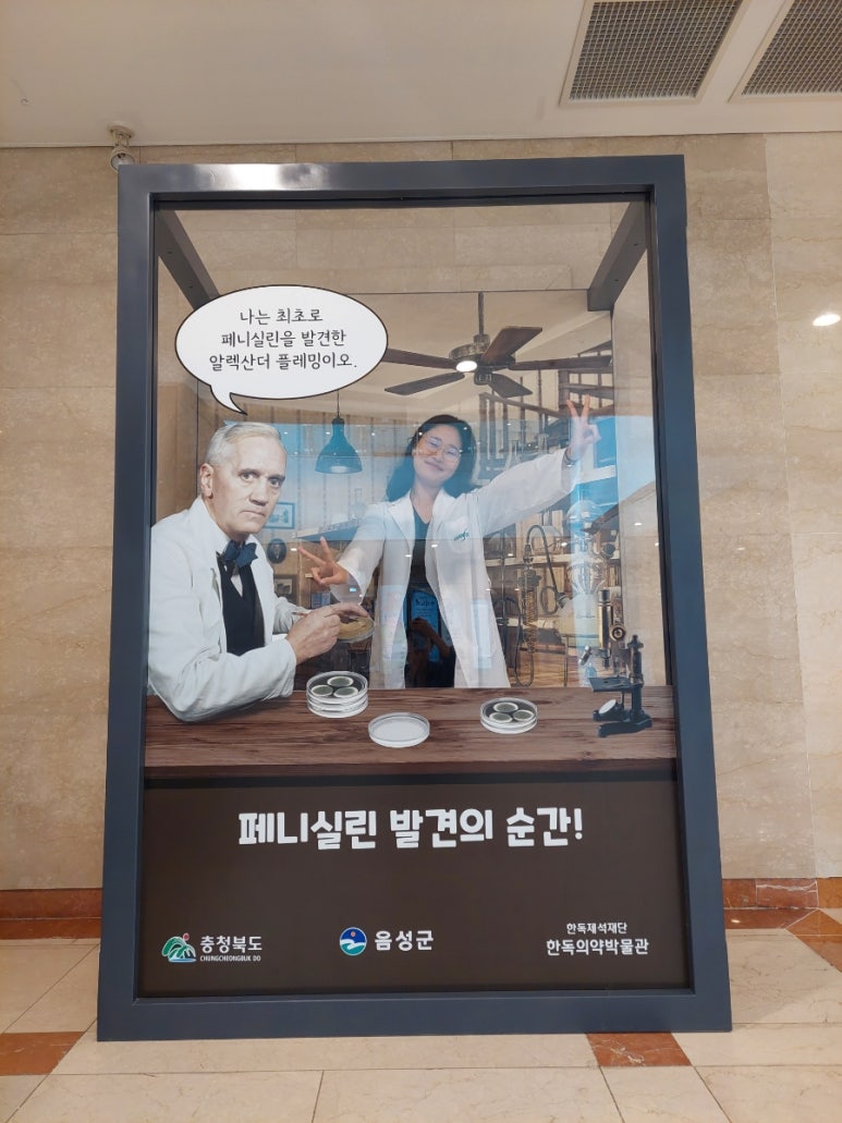 팜잉 이미지
