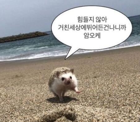 쁘띠뺑제과점 이미지