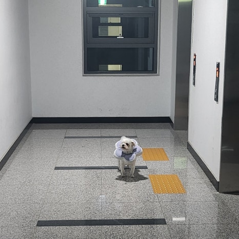윰씨 이미지
