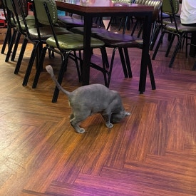 까진바나나 이미지