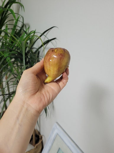 bhc 수원정자2호점 이미지