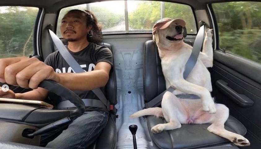 스시현 이미지