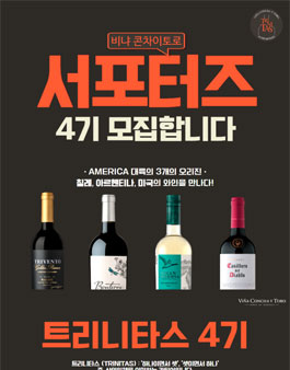 트리니타스 이미지