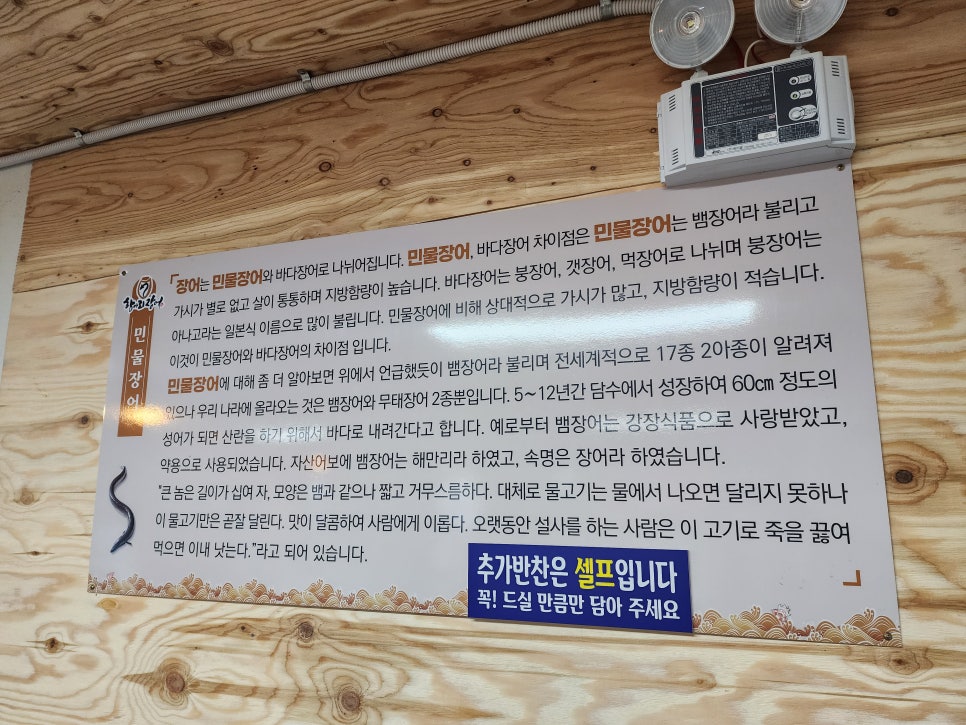 항아리장어 이미지