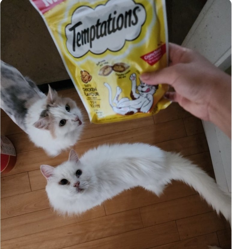 손맛고을 이미지