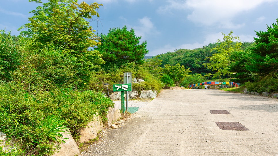 코알라캠핑장 이미지