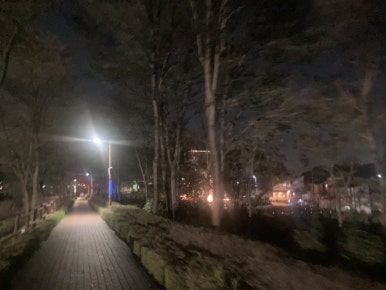 마가리타1585 이미지