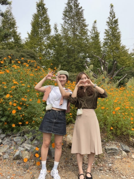 황화분식 이미지