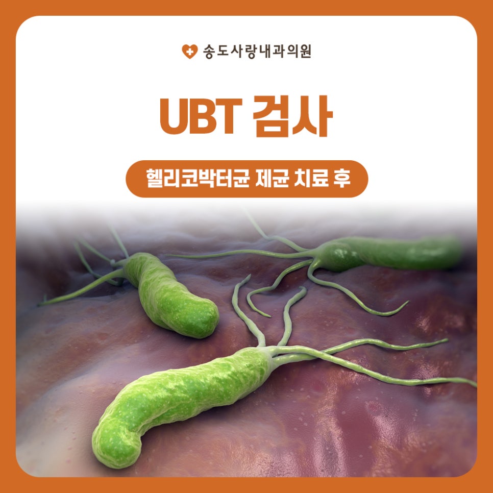 송도사랑내과의원 이미지