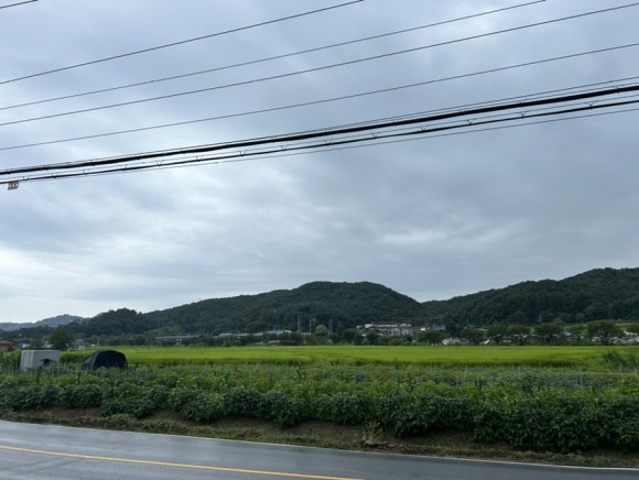 장군순대국 이미지