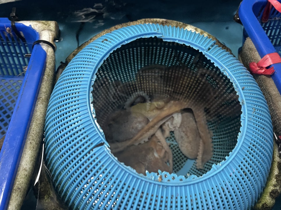 유성회식당 이미지