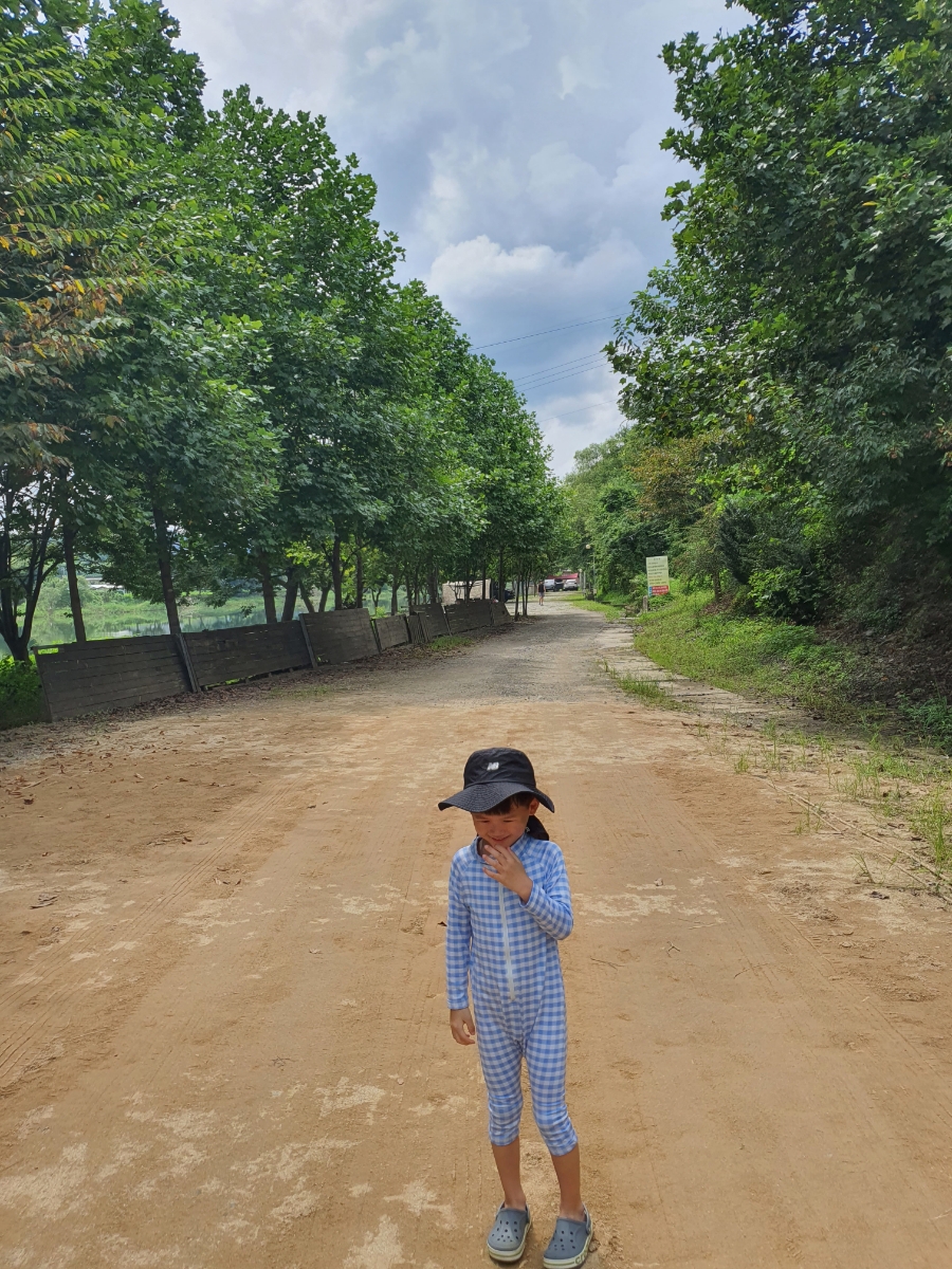 청천나들이 이미지