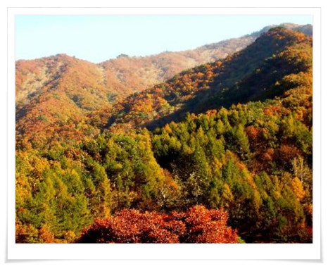 일월산장 이미지