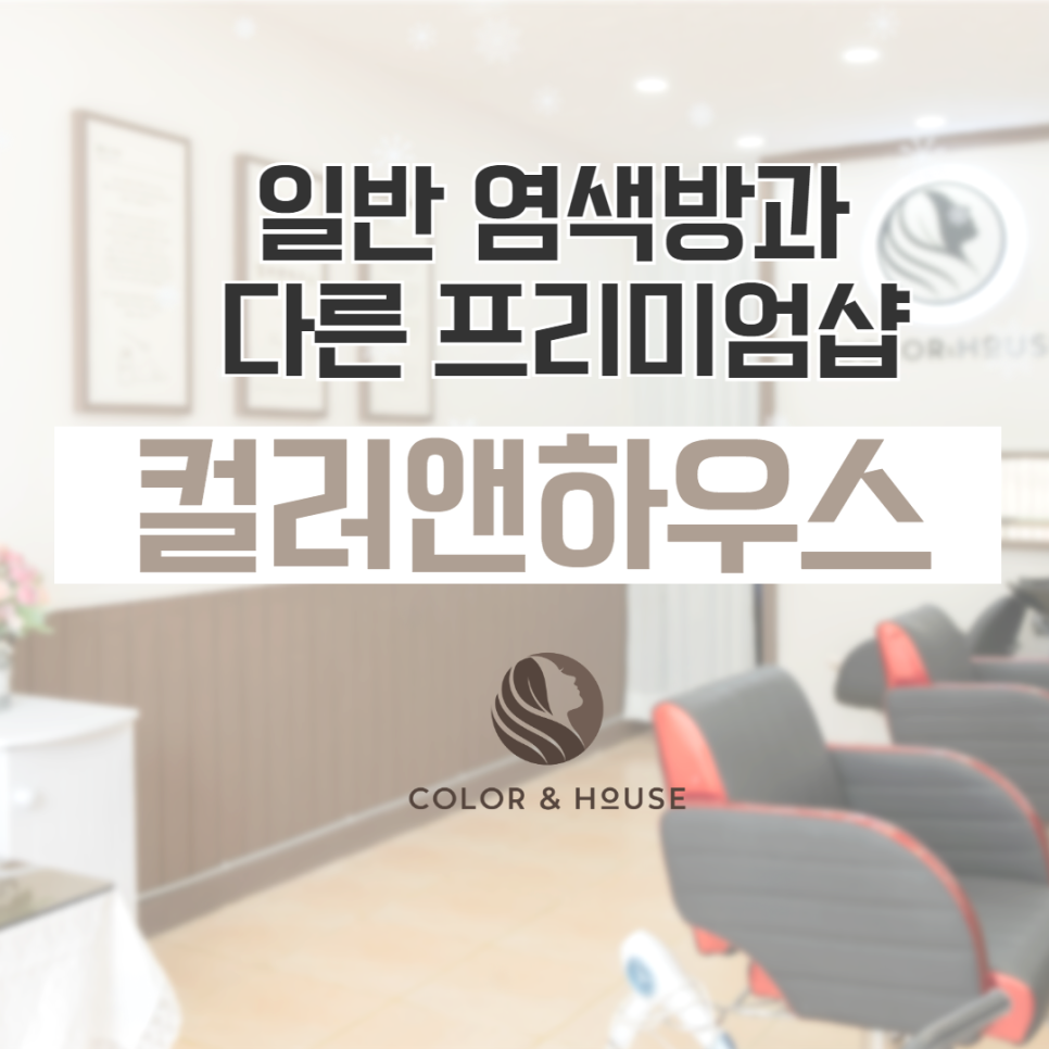 컬러하우스 이미지