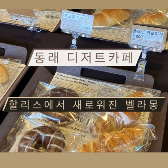 벨라몽 이미지