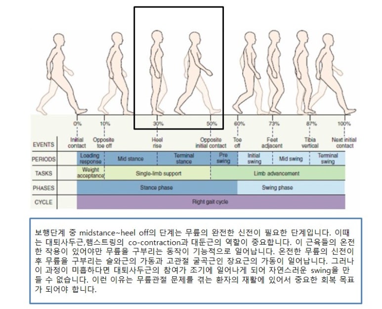 기능동작아카데미 이미지