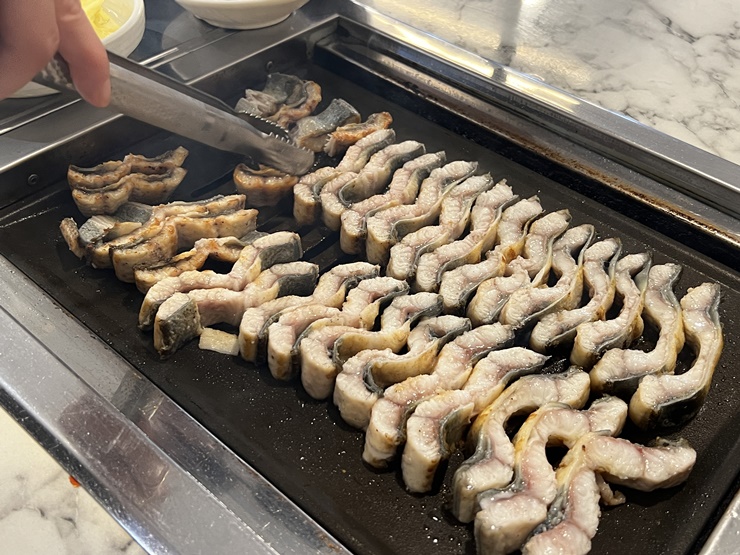 베풀장어 이미지