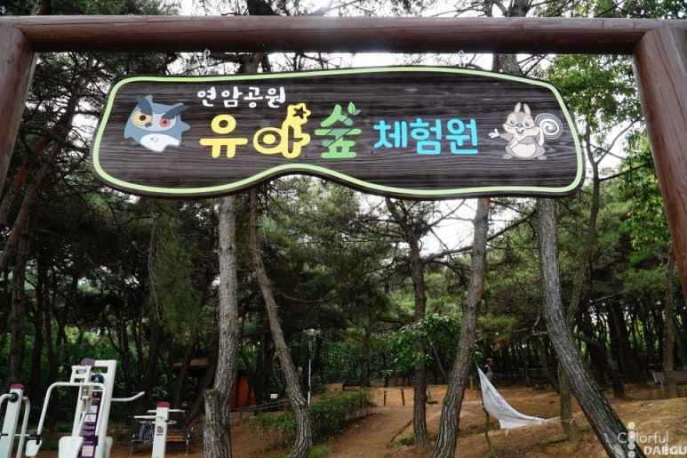 연암공원 유아숲체험원 이미지