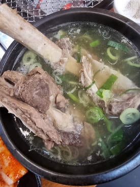 청년장어 이미지