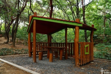 연암공원 유아숲체험원 이미지