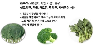 오색채 이미지