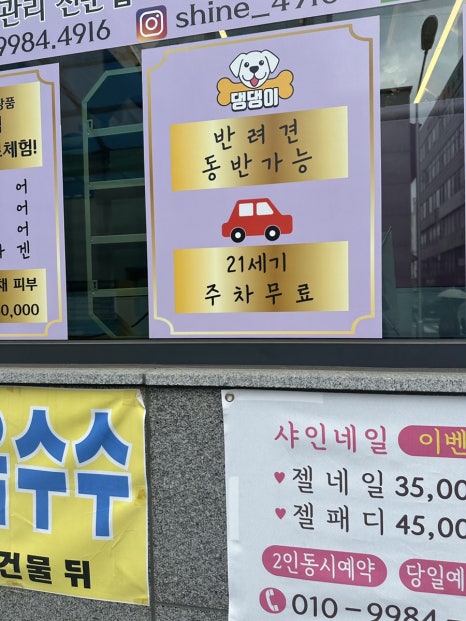 인셀덤샤인 이미지