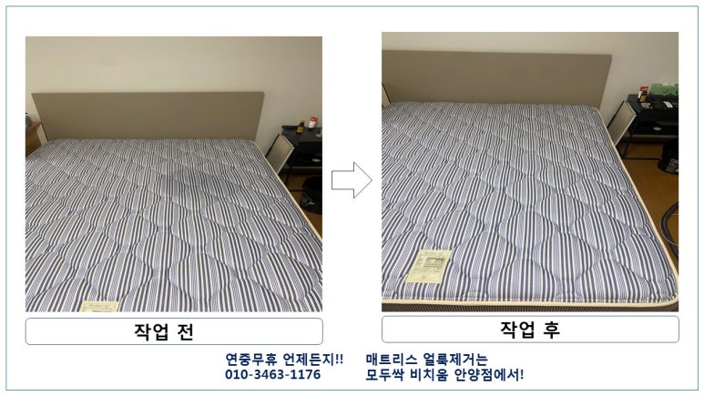 모두싹청소 이미지