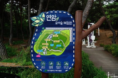연암공원 유아숲체험원 이미지