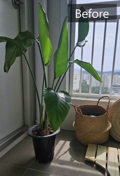 강동꽃화원 이미지