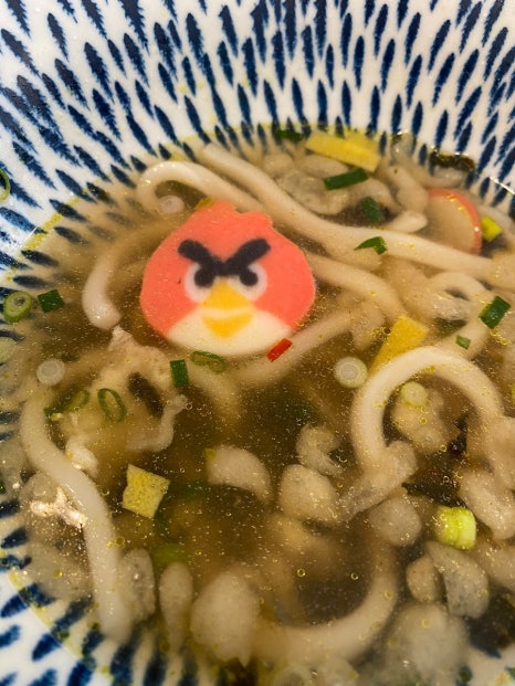 강스퀴진 이미지