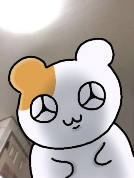 오일리 이미지