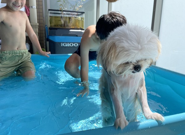 더강문풀빌라 이미지