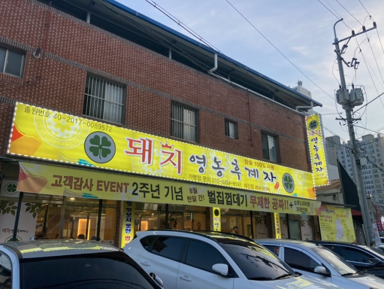 돼지영농후계자 이미지