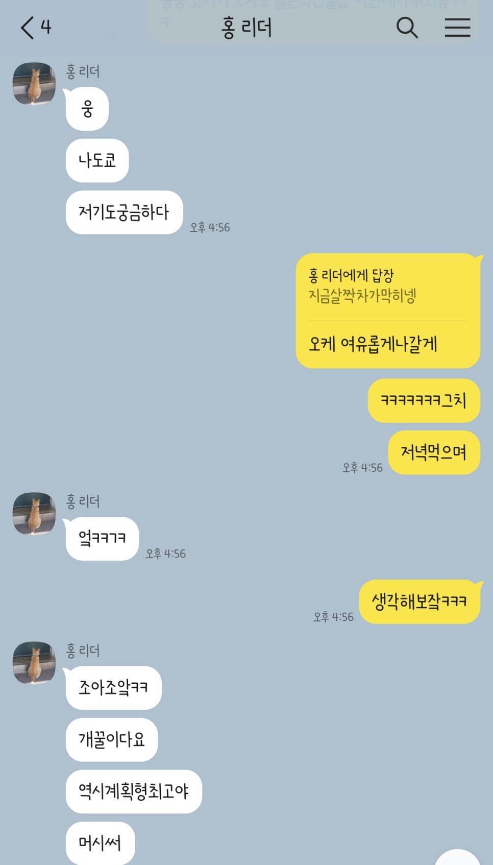 디오티앤 이미지
