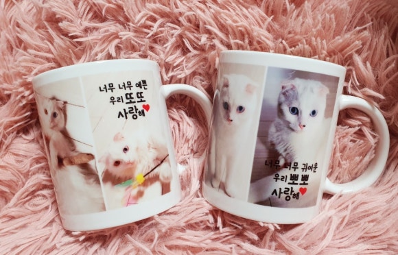 휴먼비샵 이미지