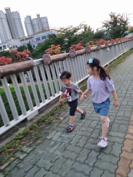 팡스오페라 이미지